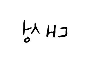KPOP idol BIGBANG  대성 (Kang Dae-sung, Daesung) Printable Hangul name fan sign, fanboard resources for LED Reversed