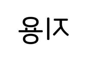 KPOP idol BIGBANG  지드래곤 (Kwon Ji-yong, G-DRAGON) Printable Hangul name Fansign Fanboard resources for concert Reversed