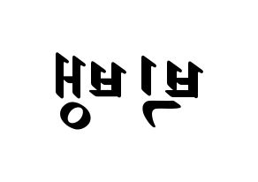 KPOP idol BIGBANG Printable Hangul fan sign, concert board resources for LED Reversed