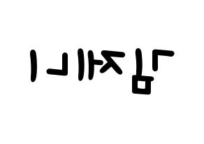 KPOP idol Black Pink  제니 (Kim Jennie, Jennie) Printable Hangul name fan sign, fanboard resources for light sticks Reversed