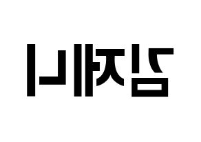KPOP idol Black Pink  제니 (Kim Jennie, Jennie) Printable Hangul name fan sign, fanboard resources for concert Reversed