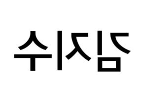 KPOP idol Black Pink  지수 (Kim Ji-soo, Jisoo) Printable Hangul name Fansign Fanboard resources for concert Reversed