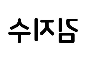 KPOP idol Black Pink  지수 (Kim Ji-soo, Jisoo) Printable Hangul name fan sign, fanboard resources for concert Reversed