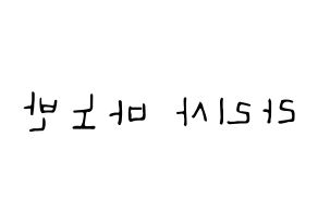 KPOP idol Black Pink  리사 (Lalisa Manoban, Lisa) Printable Hangul name fan sign, fanboard resources for LED Reversed