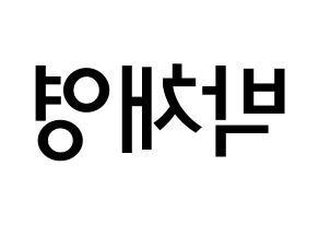 KPOP idol Black Pink  로제 (Park Chae-Young, Rosé) Printable Hangul name Fansign Fanboard resources for concert Reversed