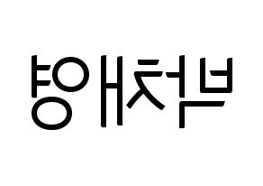 KPOP idol Black Pink  로제 (Park Chae-Young, Rosé) Printable Hangul name fan sign, fanboard resources for light sticks Reversed