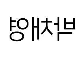 KPOP idol Black Pink  로제 (Park Chae-Young, Rosé) Printable Hangul name fan sign, fanboard resources for LED Reversed