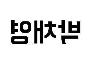 KPOP idol Black Pink  로제 (Park Chae-Young, Rosé) Printable Hangul name fan sign, fanboard resources for concert Reversed