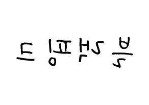 KPOP idol Black Pink Printable Hangul fan sign, concert board resources for light sticks Reversed