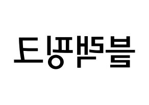KPOP idol Black Pink Printable Hangul Fansign Fanboard resources Reversed