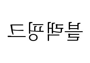KPOP idol Black Pink Printable Hangul fan sign & concert board resources Reversed