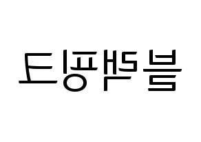 KPOP idol Black Pink Printable Hangul fan sign, fanboard resources for light sticks Reversed