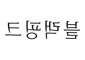 KPOP idol Black Pink Printable Hangul fan sign & concert board resources Reversed