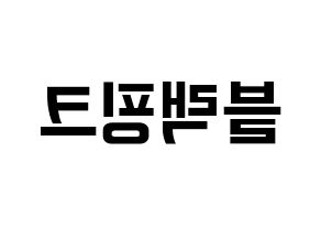 KPOP idol Black Pink Printable Hangul fan sign & fan board resources Reversed