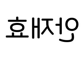KPOP idol Block B  재효 (Ahn Jae-hyo, JAEHYO) Printable Hangul name Fansign Fanboard resources for concert Reversed
