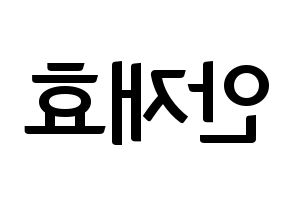 KPOP idol Block B  재효 (Ahn Jae-hyo, JAEHYO) Printable Hangul name fan sign, fanboard resources for concert Reversed