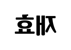 KPOP idol Block B  재효 (Ahn Jae-hyo, JAEHYO) Printable Hangul name fan sign, fanboard resources for light sticks Reversed