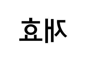 KPOP idol Block B  재효 (Ahn Jae-hyo, JAEHYO) Printable Hangul name Fansign Fanboard resources for concert Reversed