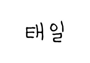 KPOP idol Block B  태일 (Lee Tae-il, TAEIL) Printable Hangul name fan sign, fanboard resources for light sticks Normal