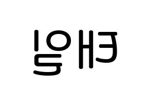KPOP idol Block B  태일 (Lee Tae-il, TAEIL) Printable Hangul name Fansign Fanboard resources for concert Reversed