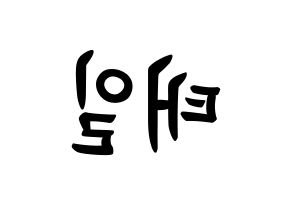 KPOP idol Block B  태일 (Lee Tae-il, TAEIL) Printable Hangul name fan sign, fanboard resources for concert Reversed