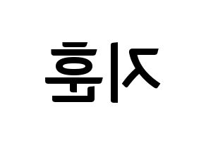 KPOP idol Block B  피오 (Pyo Ji-hoon, P.O) Printable Hangul name fan sign, fanboard resources for concert Reversed