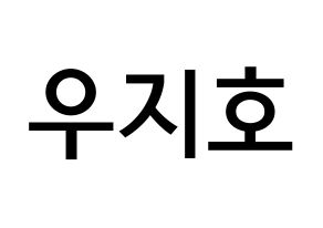 KPOP idol Block B  지코 (Woo Ji-ho, ZICO) Printable Hangul name Fansign Fanboard resources for concert Normal