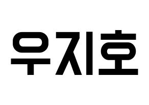 KPOP idol Block B  지코 (Woo Ji-ho, ZICO) Printable Hangul name fan sign, fanboard resources for light sticks Normal