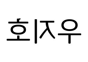 KPOP idol Block B  지코 (Woo Ji-ho, ZICO) Printable Hangul name fan sign, fanboard resources for LED Reversed