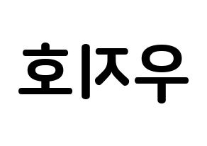 KPOP idol Block B  지코 (Woo Ji-ho, ZICO) Printable Hangul name fan sign, fanboard resources for concert Reversed