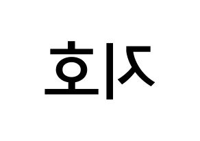KPOP idol Block B  지코 (Woo Ji-ho, ZICO) Printable Hangul name Fansign Fanboard resources for concert Reversed