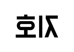 KPOP idol Block B  지코 (Woo Ji-ho, ZICO) Printable Hangul name fan sign, fanboard resources for light sticks Reversed