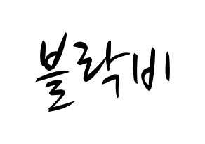 KPOP idol Block B Printable Hangul fan sign, concert board resources for light sticks Normal