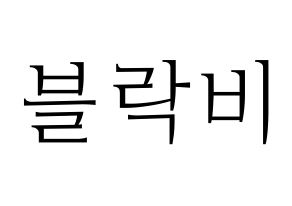 KPOP idol Block B Printable Hangul fan sign & concert board resources Normal