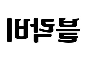 KPOP idol Block B Printable Hangul fan sign, fanboard resources for light sticks Reversed