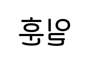 KPOP idol BTOB  일훈 (Jung Il-hoon, Ilhoon) Printable Hangul name Fansign Fanboard resources for concert Reversed