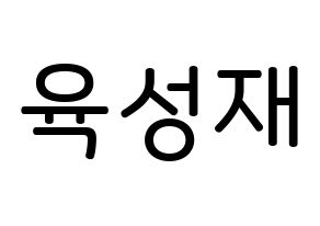 KPOP idol BTOB  성재 (Yook Sung-jae, Sungjae) Printable Hangul name Fansign Fanboard resources for concert Normal