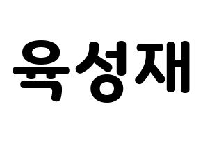 KPOP idol BTOB  성재 (Yook Sung-jae, Sungjae) Printable Hangul name fan sign & fan board resources Normal