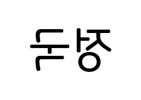 KPOP idol BTS  정국 (Jeon Jung-kook, JUNG KOOK) Printable Hangul name Fansign Fanboard resources for concert Reversed
