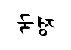 KPOP idol BTS  정국 (Jeon Jung-kook, JUNG KOOK) Printable Hangul name fan sign, fanboard resources for LED Reversed