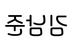 KPOP idol BTS  RM (Kim Nam-jun, RM) Printable Hangul name Fansign Fanboard resources for concert Reversed