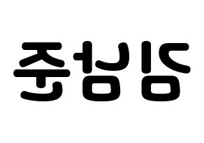 KPOP idol BTS  RM (Kim Nam-jun, RM) Printable Hangul name fan sign & fan board resources Reversed