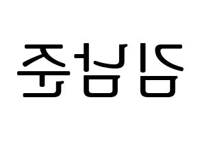KPOP idol BTS  RM (Kim Nam-jun, RM) Printable Hangul name fan sign, fanboard resources for LED Reversed