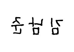KPOP idol BTS  RM (Kim Nam-jun, RM) Printable Hangul name fan sign, fanboard resources for concert Reversed