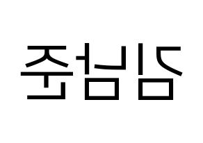 KPOP idol BTS  RM (Kim Nam-jun, RM) Printable Hangul name fan sign, fanboard resources for LED Reversed