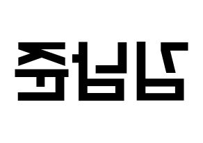 KPOP idol BTS  RM (Kim Nam-jun, RM) Printable Hangul name fan sign, fanboard resources for light sticks Reversed
