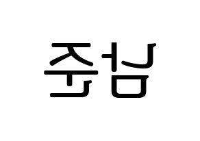 KPOP idol BTS  RM (Kim Nam-jun, RM) Printable Hangul name fan sign, fanboard resources for LED Reversed