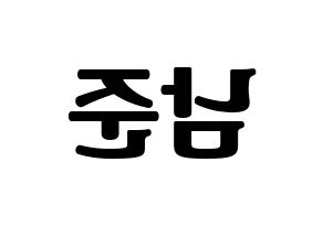 KPOP idol BTS  RM (Kim Nam-jun, RM) Printable Hangul name fan sign, fanboard resources for light sticks Reversed