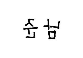KPOP idol BTS  RM (Kim Nam-jun, RM) Printable Hangul name fan sign, fanboard resources for concert Reversed