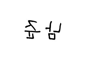 KPOP idol BTS  RM (Kim Nam-jun, RM) Printable Hangul name fan sign, fanboard resources for light sticks Reversed